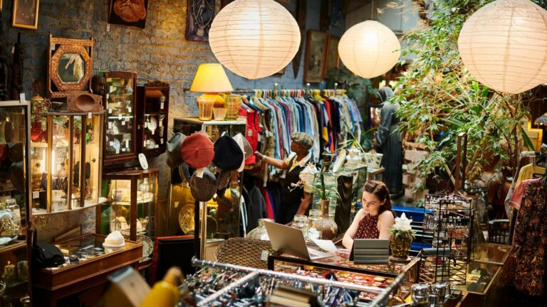 A cosy vintage store with racks of colourful clothes, glass display cases, and hanging paper lanterns. A person sits at a desk working on a laptop connected to an EPOS system, surrounded by plants and various retro items, finding solutions for every customer need.